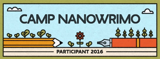 camp nano 2016 participant
